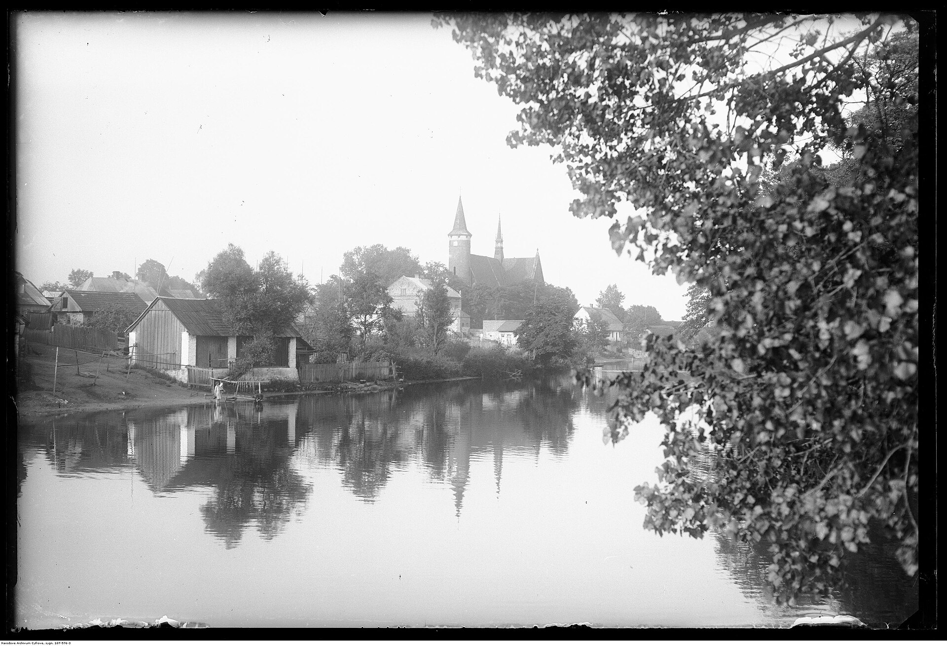Drzewica — widok miasta nad Drzewiczką
